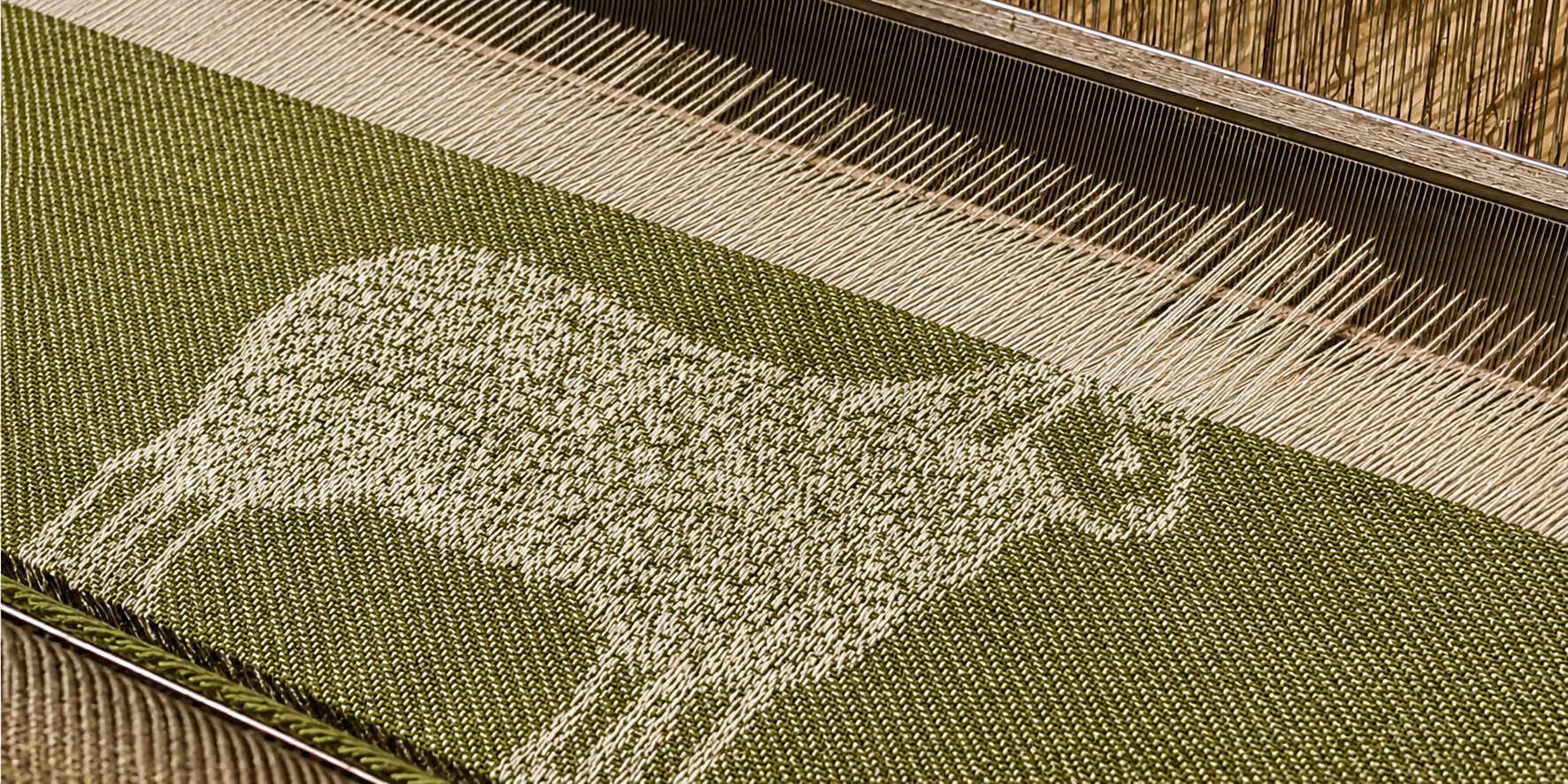 Sheep Throw Blog Cover Image