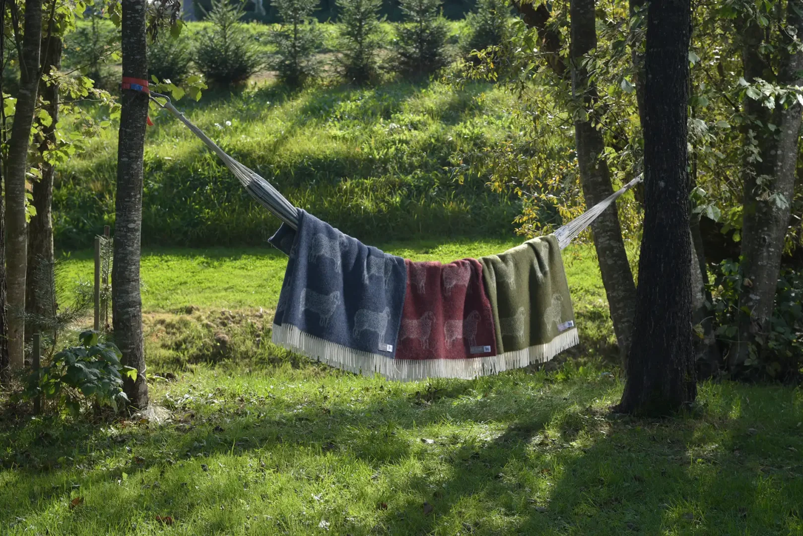 Blankets & Throws
