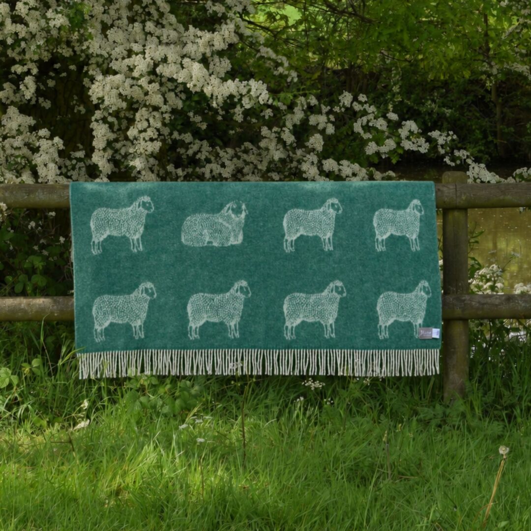THROWS